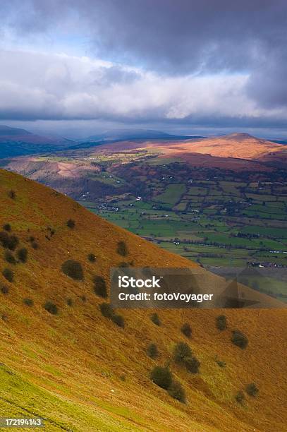 Riccamente Colorata Paesaggio - Fotografie stock e altre immagini di Ambientazione esterna - Ambientazione esterna, Brecon Beacons, Brughiera