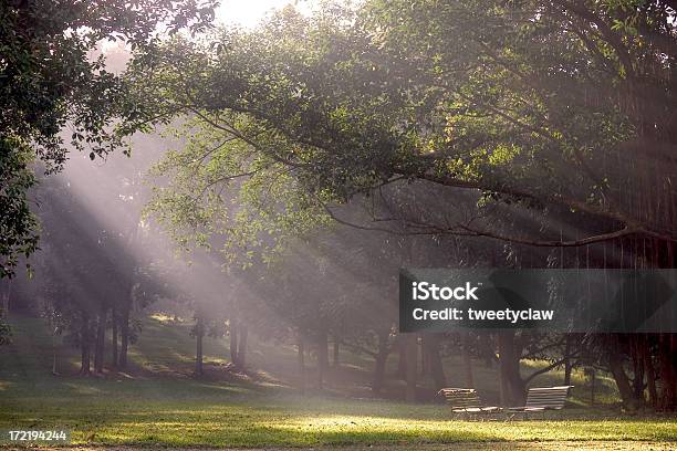 Sonnenstrahl Stockfoto und mehr Bilder von Gott - Gott, Stille, Abgeschiedenheit