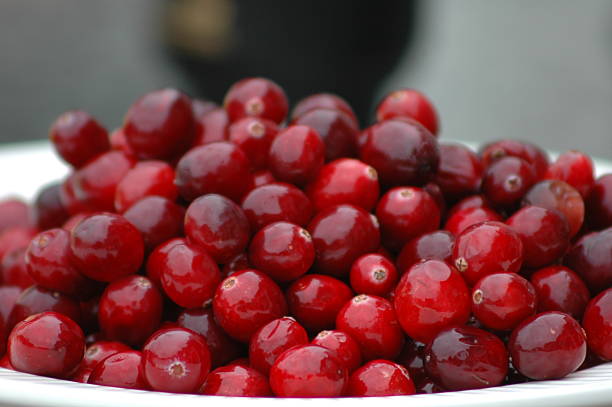 Cranberries in Bowl stock photo