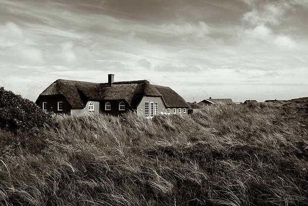 istock thatched roof in the dunes 172194664