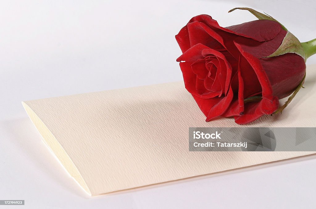 Rose and letter Rose and letter paper. Write your own message on the paper! Symbole of love and valentine day. Isolated on pure white. Celebration Stock Photo