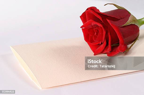 Rose And Letter Stock Photo - Download Image Now - Celebration, Cheerful, Communication