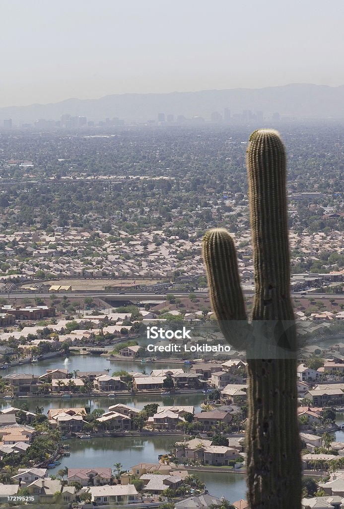 Phoenix - Foto de stock de Arizona royalty-free