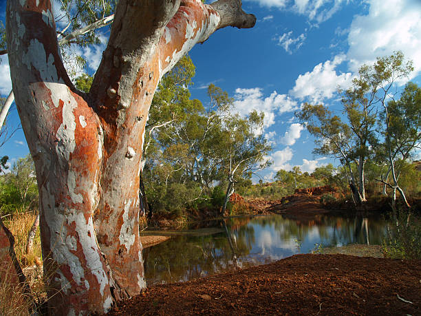 Paradise in the Outback stock photo