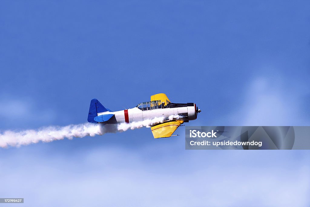 Airshow série#5: North American T6 Trainer - Foto de stock de Artista royalty-free