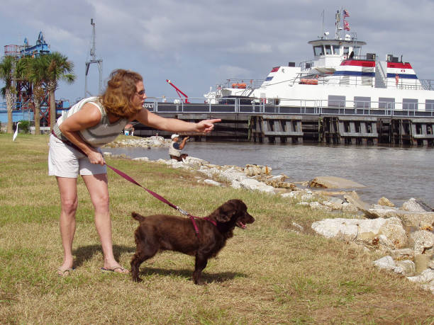 Girl & her boykin spaniel dog at the ocean - Lifestyle stock photo