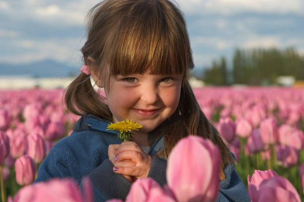 flower fille - formal garden ornamental garden child single flower photos et images de collection