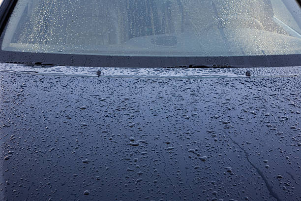 istock macro of water drops on a hood 172195680