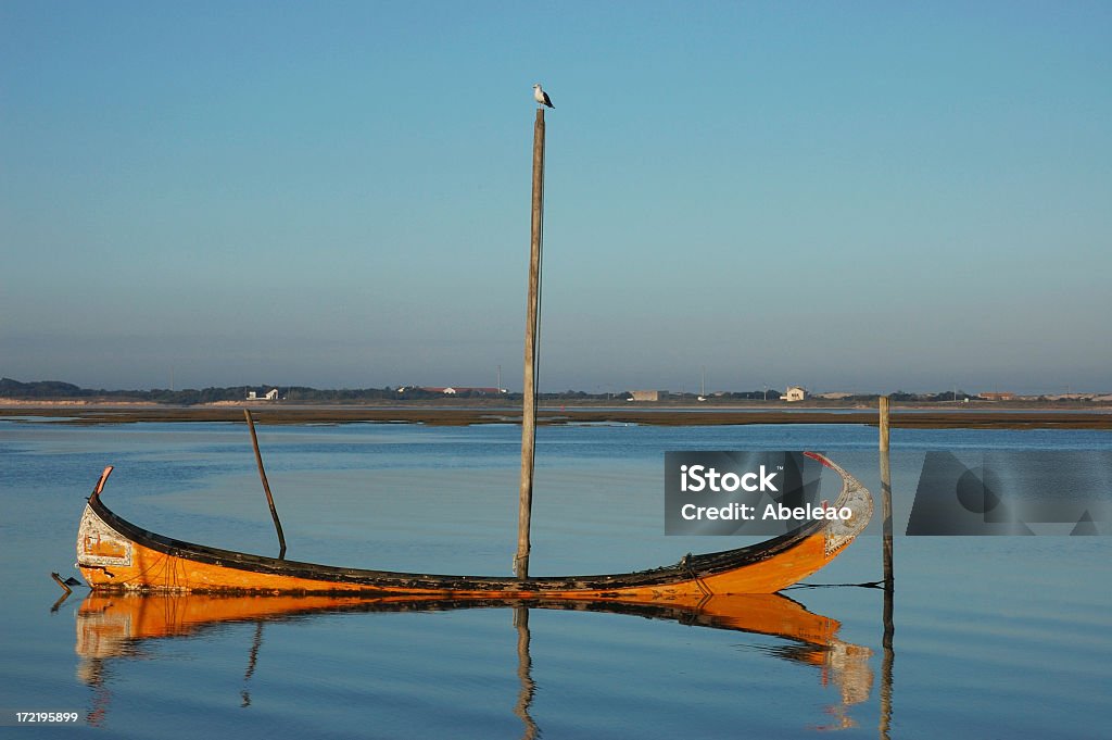 Boot und Möwe - Lizenzfrei Distrikt Aveiro Stock-Foto