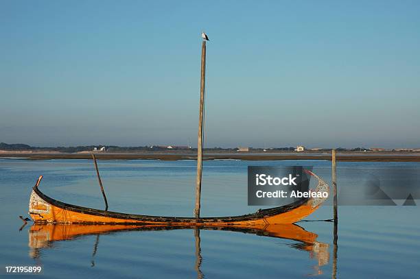 Boot Und Möwe Stockfoto und mehr Bilder von Distrikt Aveiro - Distrikt Aveiro, Blau, Fluss