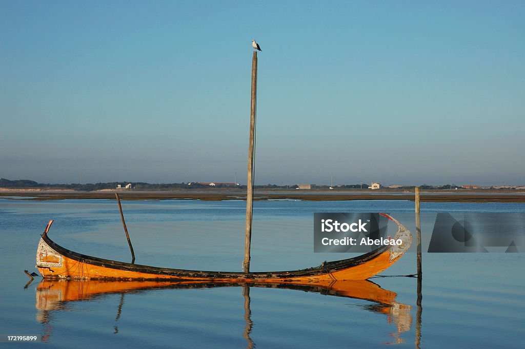 Barca e gabbiano - Foto stock royalty-free di Distretto di Aveiro