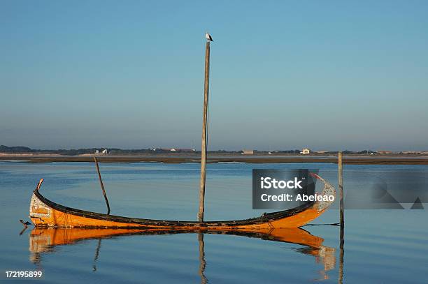 Barca E Gabbiano - Fotografie stock e altre immagini di Distretto di Aveiro - Distretto di Aveiro, Acqua, Alga marina