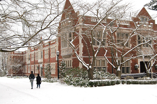 A tree branch covered in snow on the brick wall background