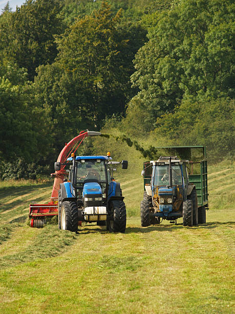 Lawn mowers collecting grass on a farm stock photo