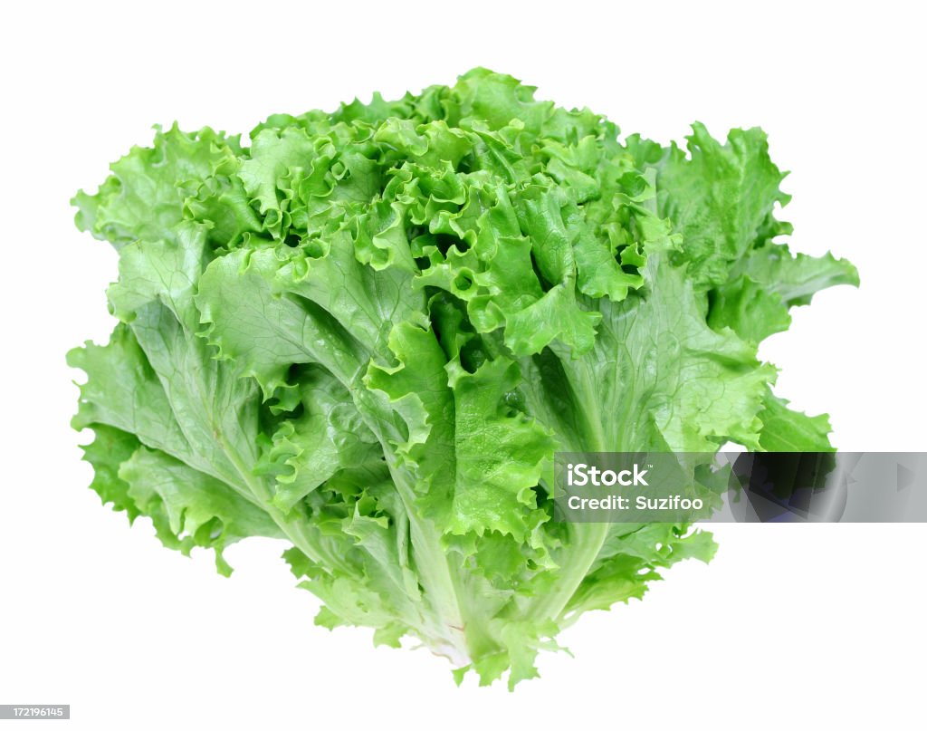 green leaf lettuce - Lizenzfrei Blattsalat Stock-Foto