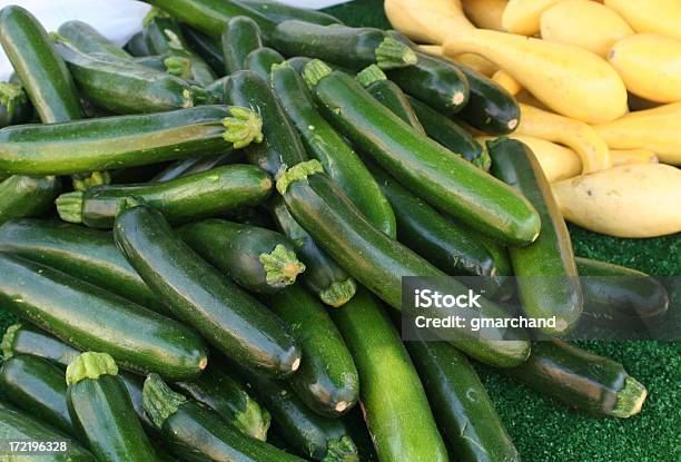 Recién Zuchinni Squash Foto de stock y más banco de imágenes de Agricultura - Agricultura, Alimento, Calabacita