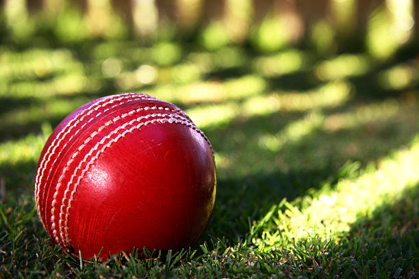 Pallina da Cricket - foto stock