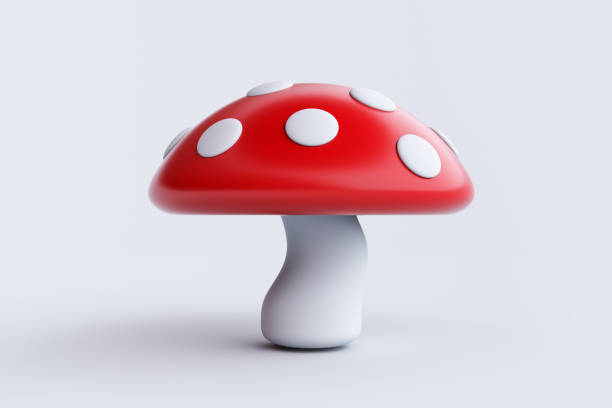 Three Dimensional, Vegetable, Food, Healthy Eating, Healthy Lifestyle, mushroom