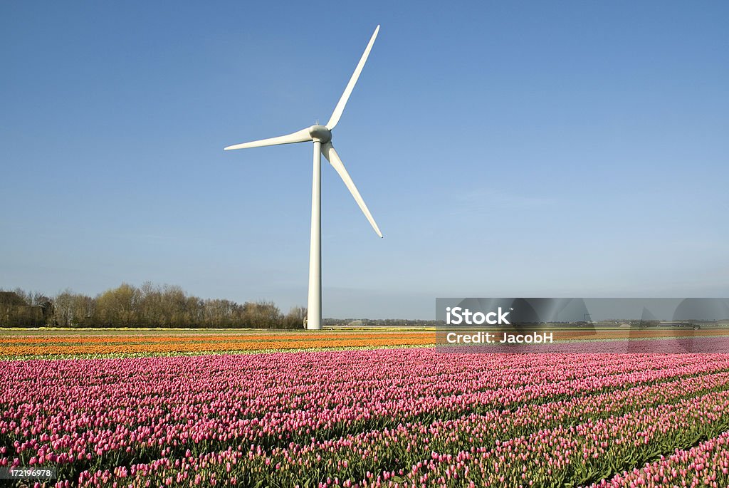 Turbina eolica - Foto stock royalty-free di Agricoltura