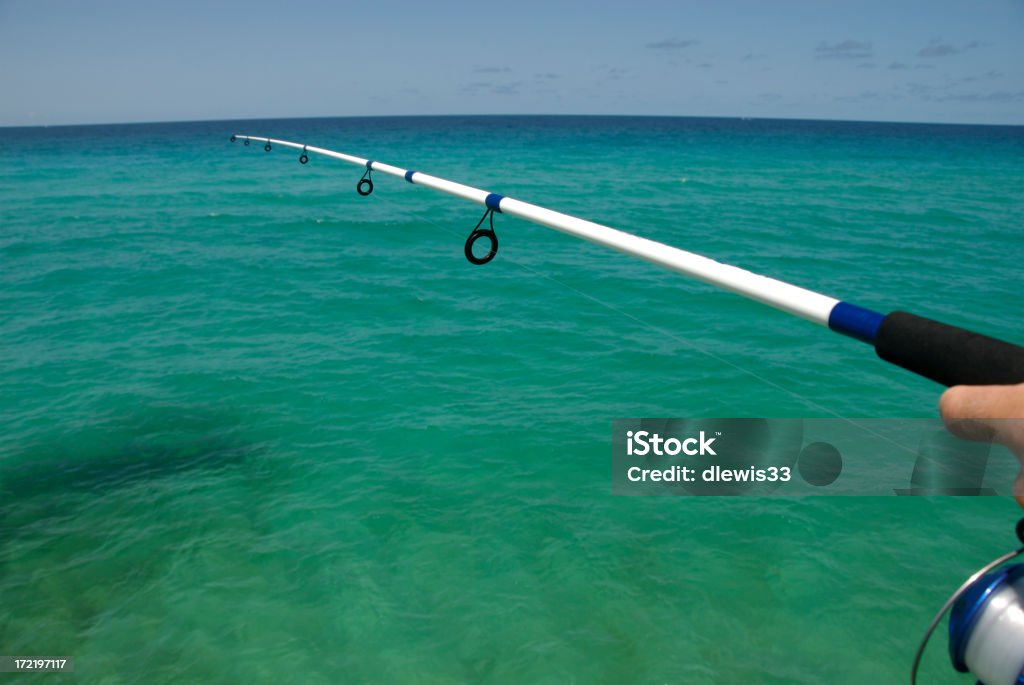Pesca no golfo - Foto de stock de Flórida - EUA royalty-free
