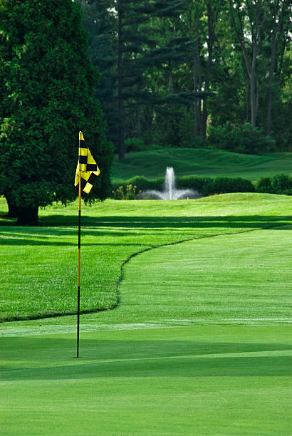 golf verde em new jersey country club - new jersey landscape putting green golf imagens e fotografias de stock