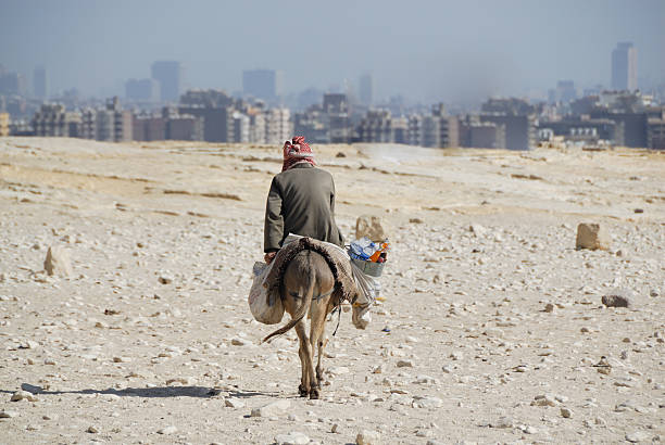 Man in the desert Man on donkey Pyramids at Giza/Cairo EgyptEnjoy more: donkey animal themes desert landscape stock pictures, royalty-free photos & images