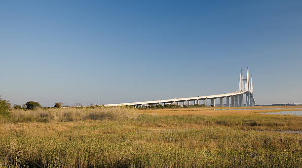 Abarcan de puente - foto de stock