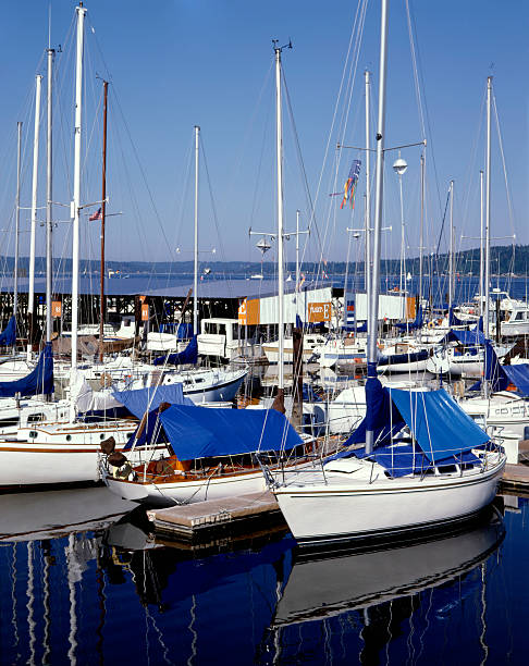 istock Boats at Marina 172197476