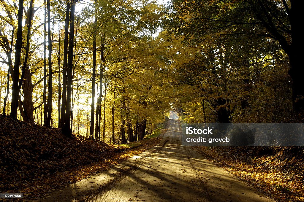 Carretera de campo con los colores del otoño - Foto de stock de Aislado libre de derechos