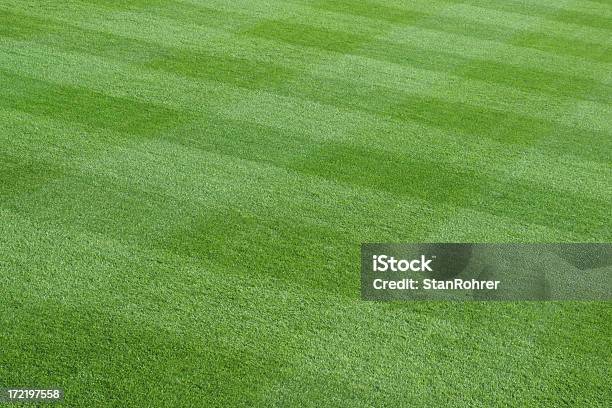 Foto de Gramado Textura De Tecido e mais fotos de stock de Ajardinado - Ajardinado, Campo, Campo Externo