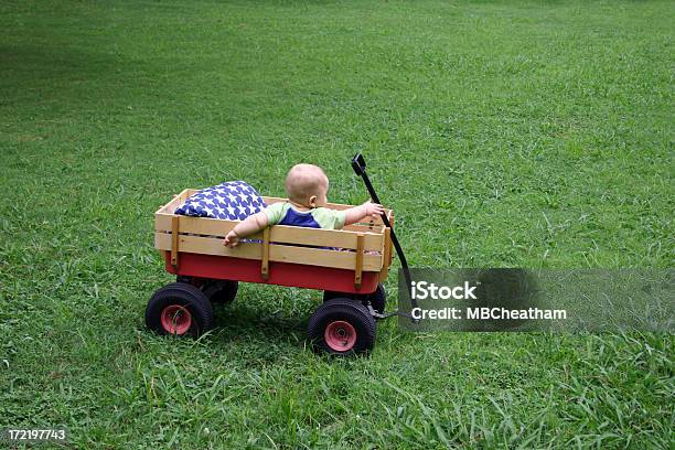 Baby Und Wagon Stockfoto und mehr Bilder von Flagge - Flagge, Gras, Juli