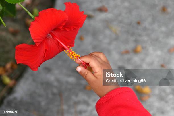 Foto de Crianças De Mão E Flores e mais fotos de stock de 12-17 meses - 12-17 meses, Bebê, Calçada