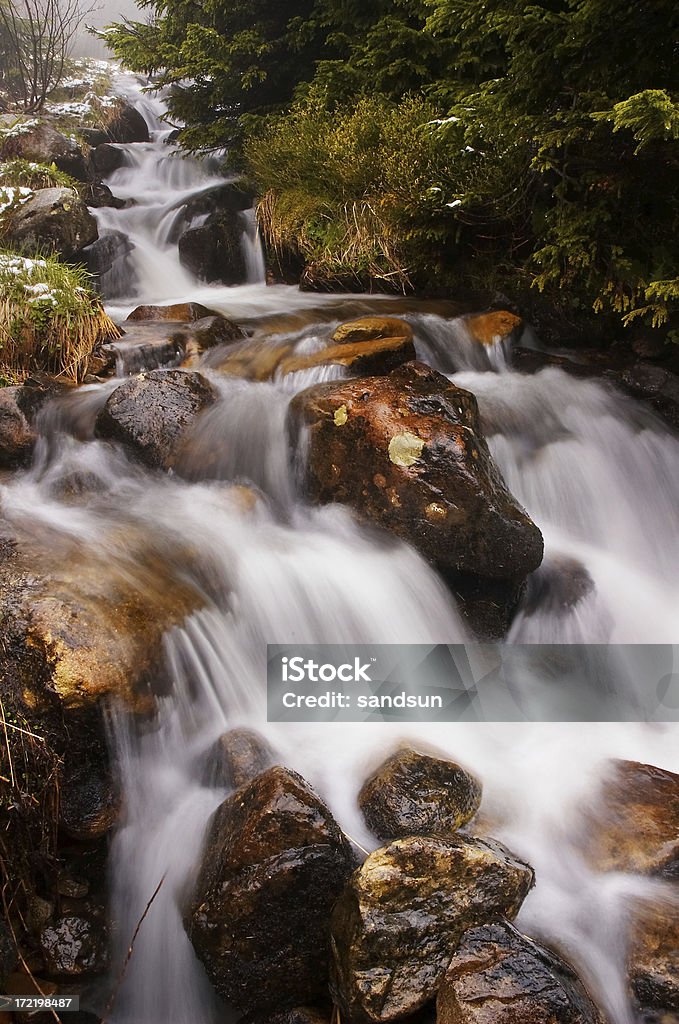 Mistério stream - Foto de stock de Beleza natural - Natureza royalty-free