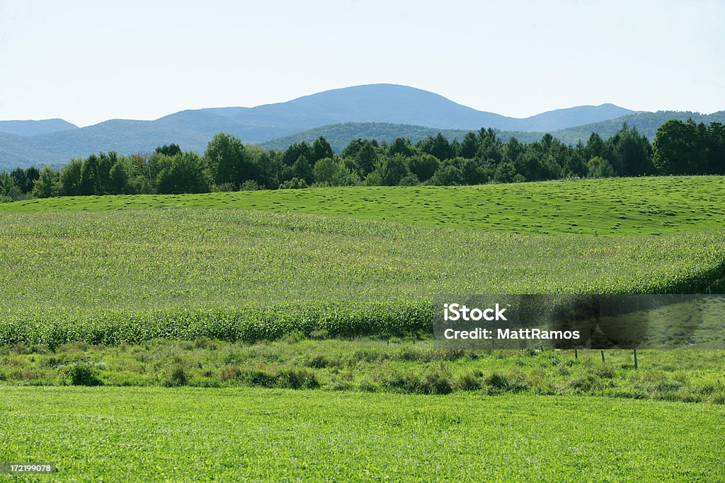 Campo Verde e Montanhas in Vermont - Royalty-free Encosta Foto de stock