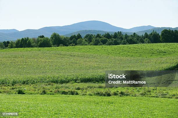 Campo Verde E Montanhas In Vermont - Fotografias de stock e mais imagens de Encosta - Encosta, Focagem no Primeiro Plano, Montanha