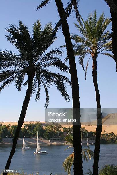 Palmen Und Segelboote Auf Dem Nil Aswan Ägypten Stockfoto und mehr Bilder von Nil - Nil, Alt, Fluss