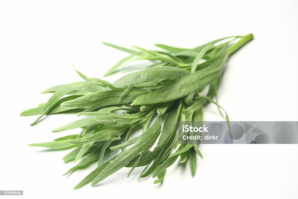 Tarragon fresh tarragon from the garden Tarragon Stock Photo