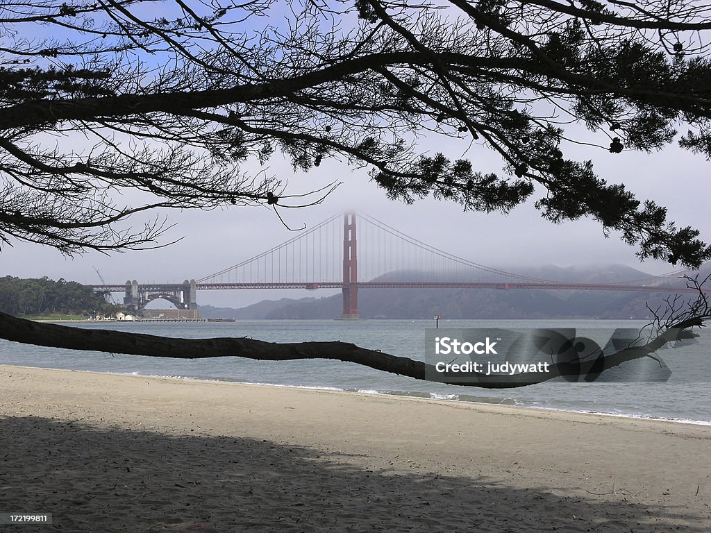 Golden Gate Nebel - Lizenzfrei Brücke Stock-Foto