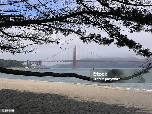 Golden Gate Nebbia - Fotografie stock e altre immagini di Attività ricreativa - Attività ricreativa, Baia, Campo