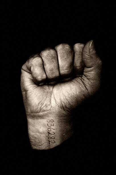 Marked Black and white image of a clenched fist with a number tattooed on the wrist concentration camp photos stock pictures, royalty-free photos & images