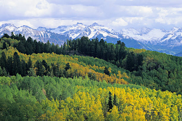 Autumn scene from the San Juan Mountains (Colorado).