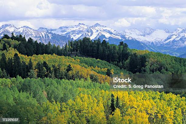 Colorado Jesień - zdjęcia stockowe i więcej obrazów Gaj - Gaj, Topola, Ameryka