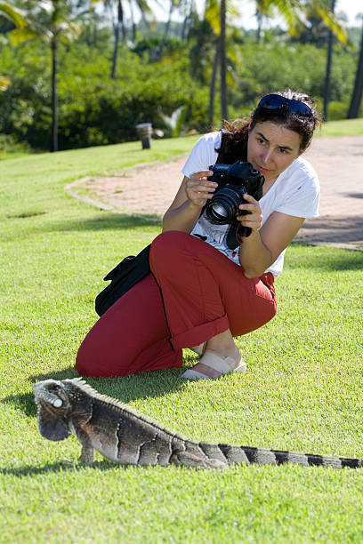 istock Woman photographing a leguan 172201193