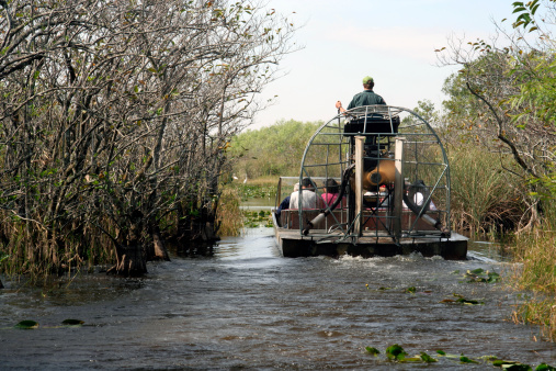 Tourist cruise the everglades by airboat
