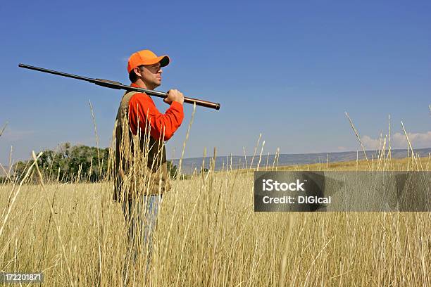 Bird Hunting Series Stock Photo - Download Image Now - Adult, Adults Only, Agricultural Field