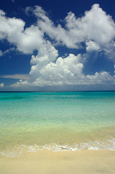 águas tropicais praia virgem - long bay - fotografias e filmes do acervo