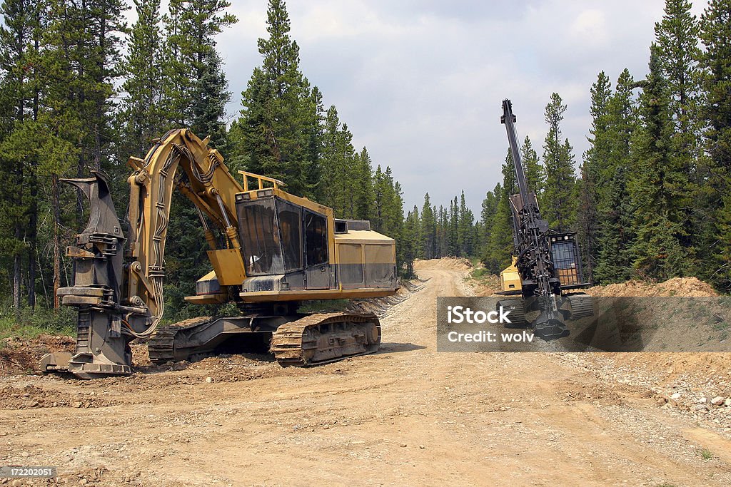 Registro n.º 2 - Foto de stock de Industria forestal libre de derechos