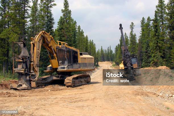 Registro Nº 2 Foto de stock y más banco de imágenes de Industria forestal - Industria forestal, Alberta, Bosque