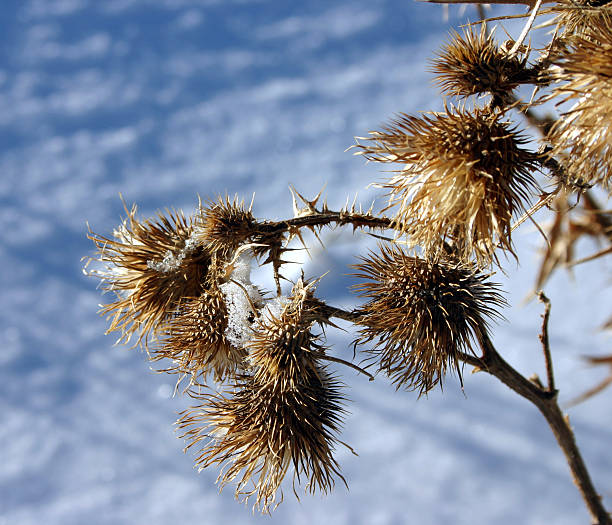 Adaptarse a la planta baja. - foto de stock