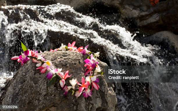 Authentische Hawaiianische Lei Mit Wasserfall Stockfoto und mehr Bilder von Blumenkranz - Blumenkranz, Hawaiianische Kultur, Alles hinter sich lassen